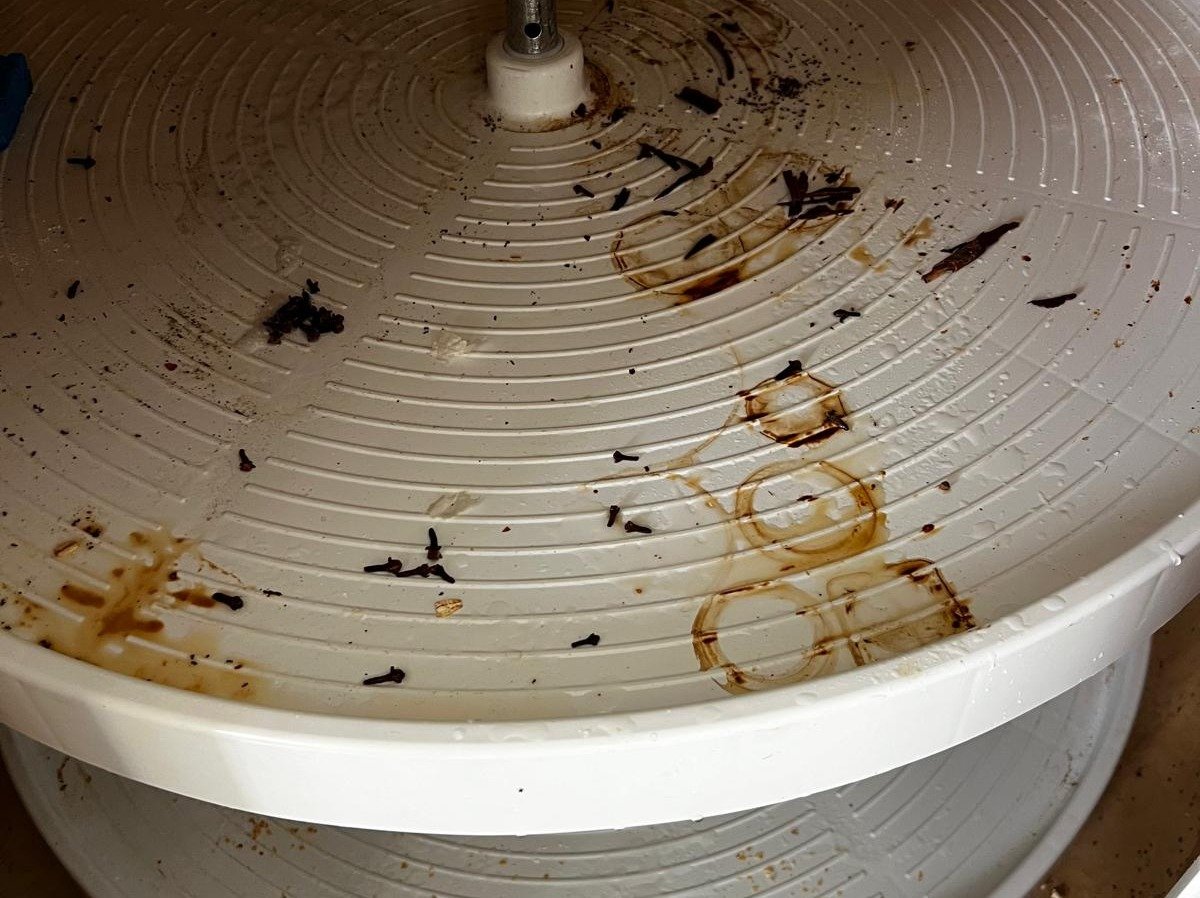 Maritza's Cleaning Services